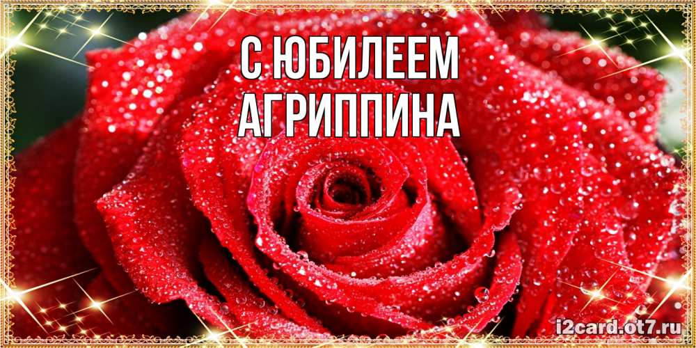 Открытка на каждый день с именем, Агриппина C юбилеем роса и роза. открытка с красивой розой Прикольная открытка с пожеланием онлайн скачать бесплатно 