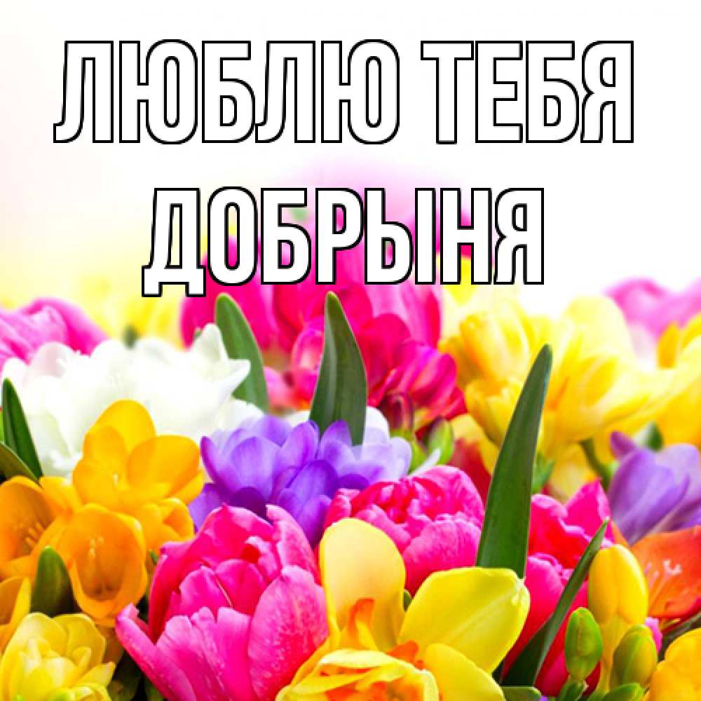 Открытка на каждый день с именем, Добрыня Люблю тебя тюльпаны Прикольная открытка с пожеланием онлайн скачать бесплатно 