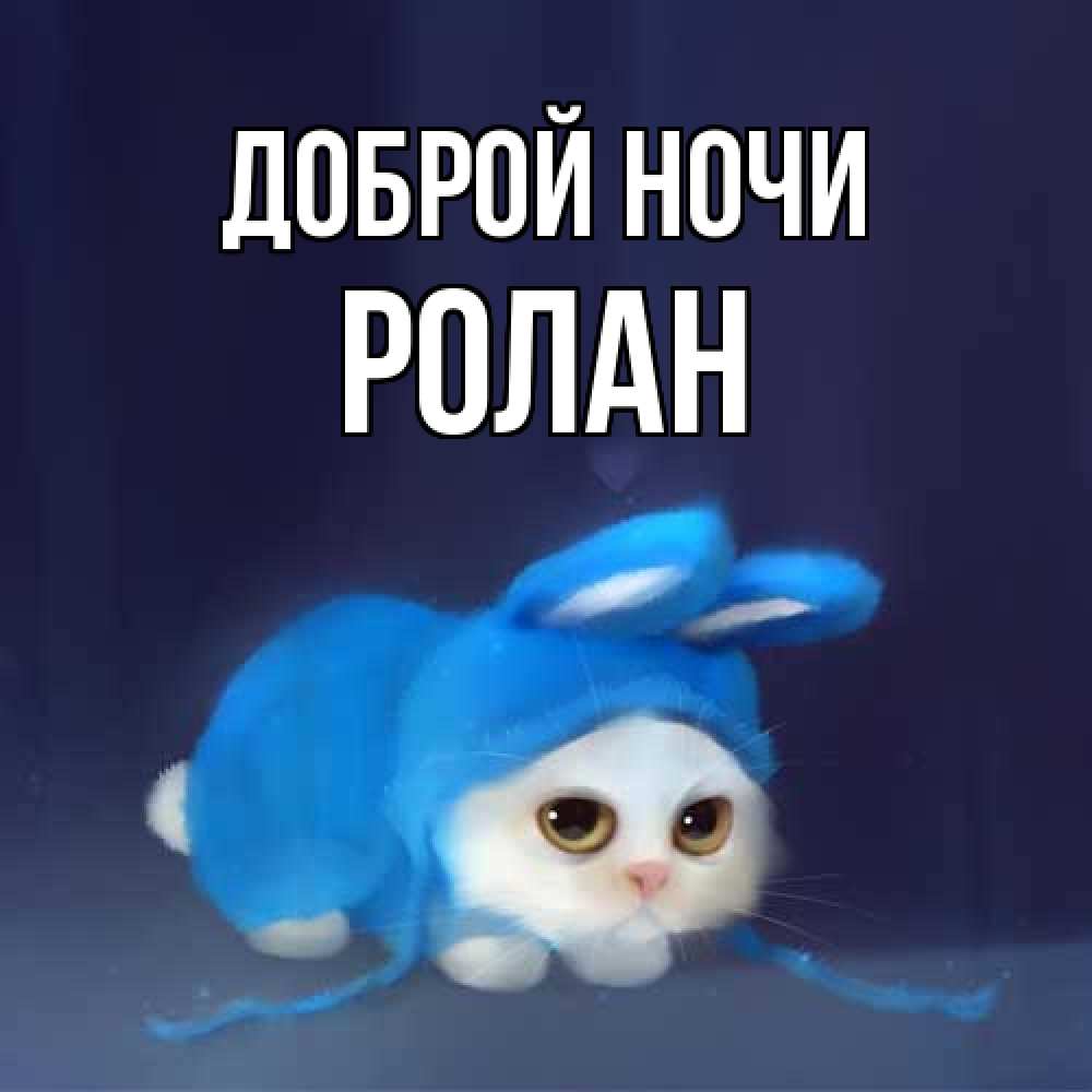 Открытка на каждый день с именем, Ролан Доброй ночи кот в голубом костюме кролика с ушками Прикольная открытка с пожеланием онлайн скачать бесплатно 