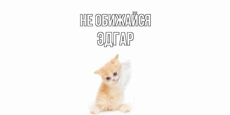 Картинка Не обижайся, Эдгар