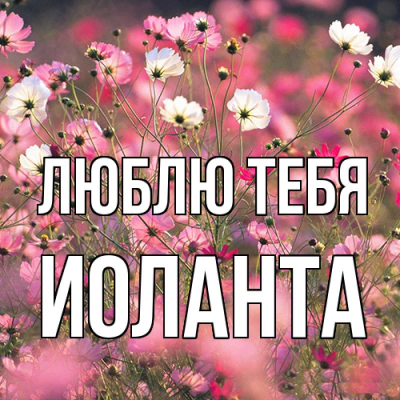 Картинка Люблю тебя, Иоланта