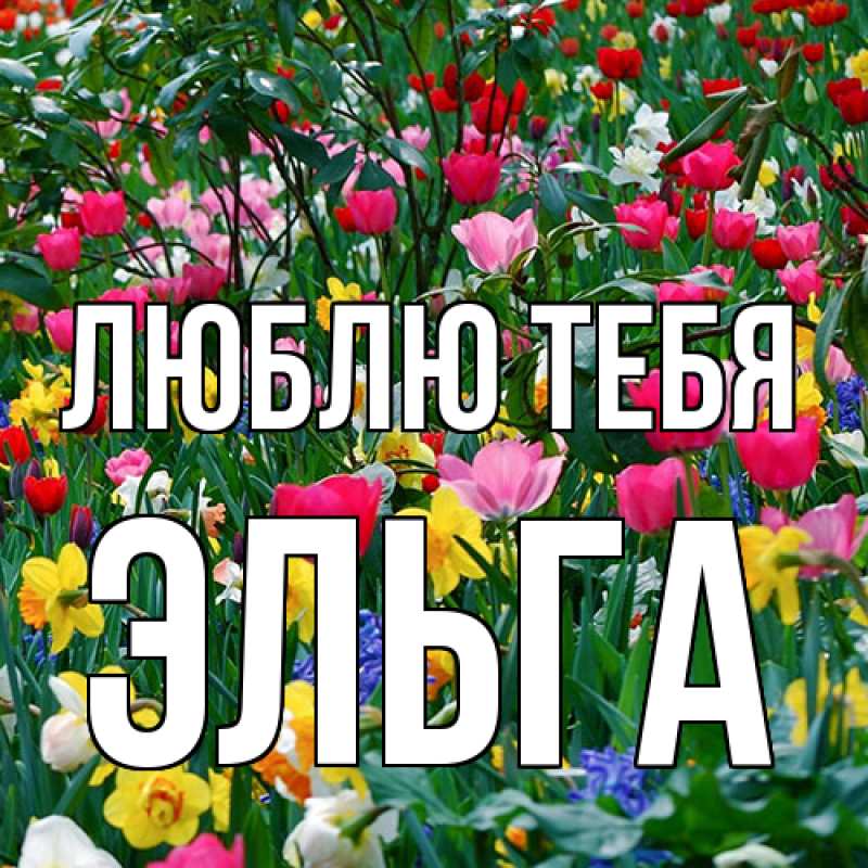 Картинка Люблю тебя, Эльга