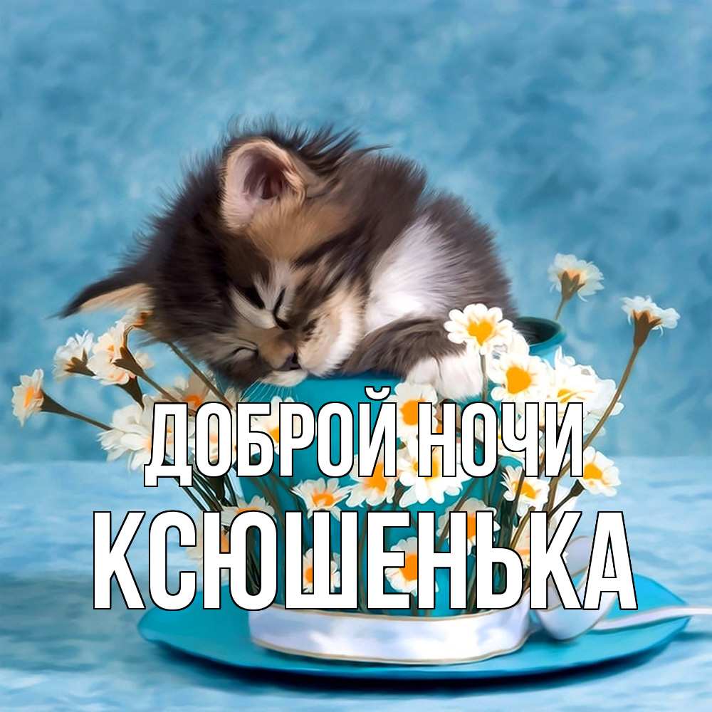 Открытка на каждый день с именем, Ксюшенька Доброй ночи котенок спит в кружке с блюдцем Прикольная открытка с пожеланием онлайн скачать бесплатно 