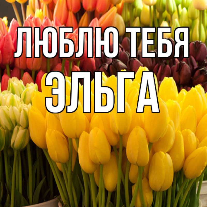 Картинка Люблю тебя, Эльга