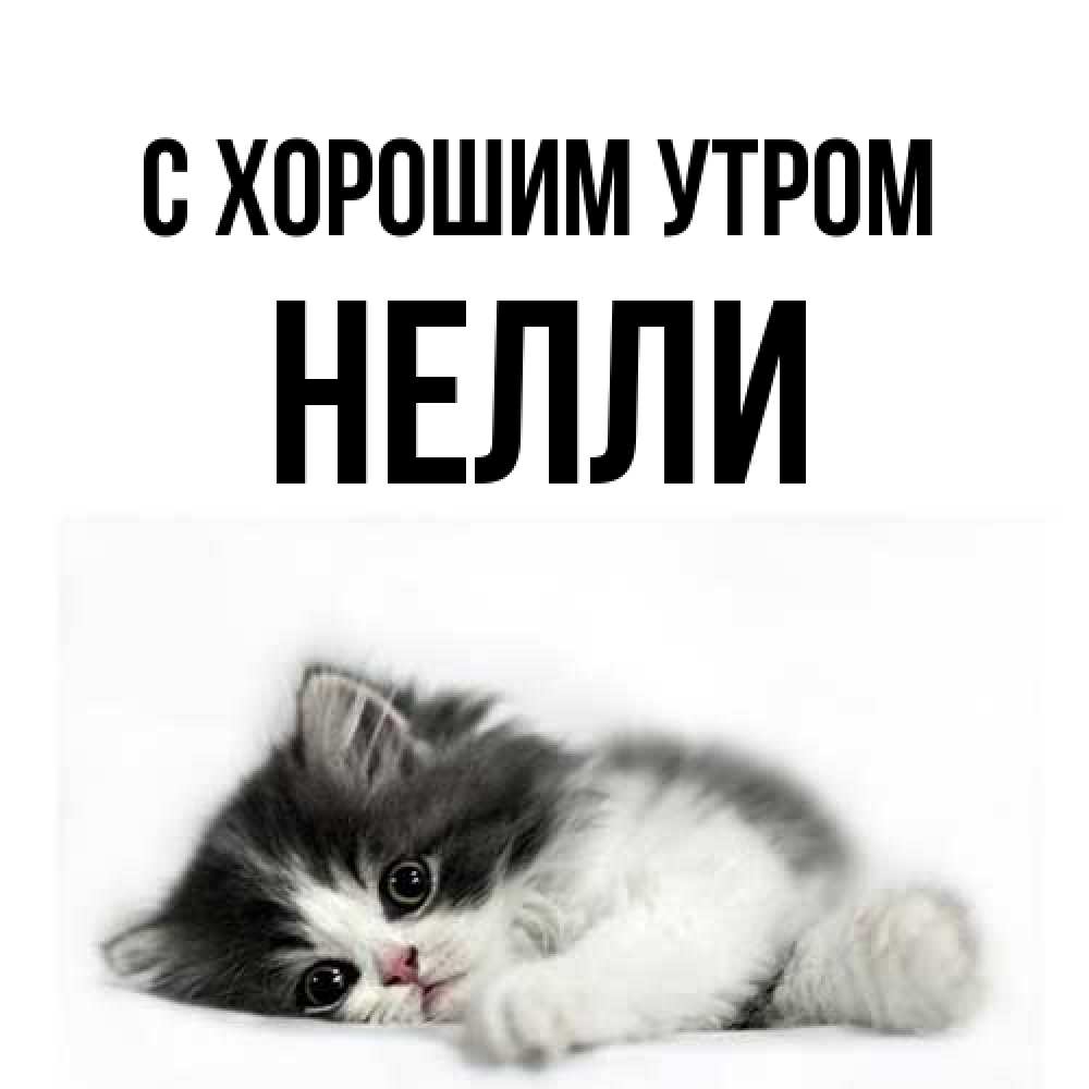Открытка на каждый день с именем, Нелли С хорошим утром кот лапки Прикольная открытка с пожеланием онлайн скачать бесплатно 