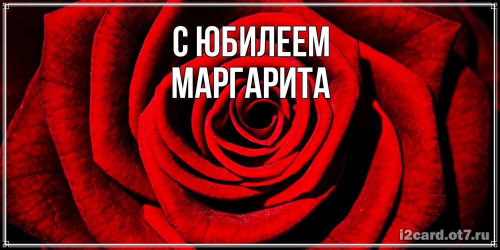 Открытка на каждый день с именем, Маргарита C юбилеем алая роза Прикольная открытка с пожеланием онлайн скачать бесплатно 