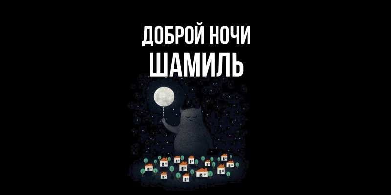 Картинка Доброй ночи, Шамиль