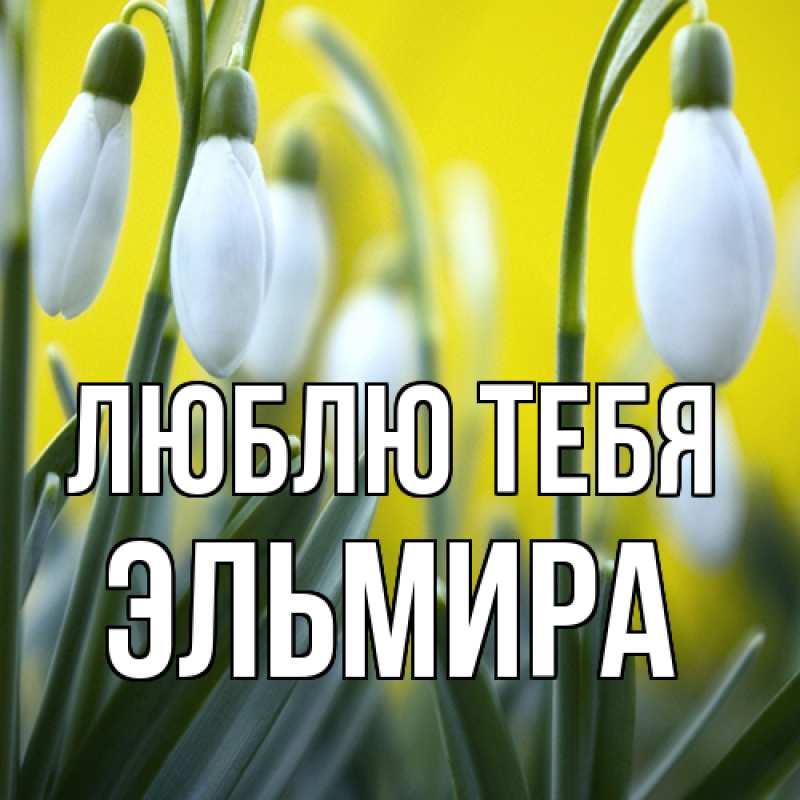 Открытка с именем, Эльмира, Люблю тебя