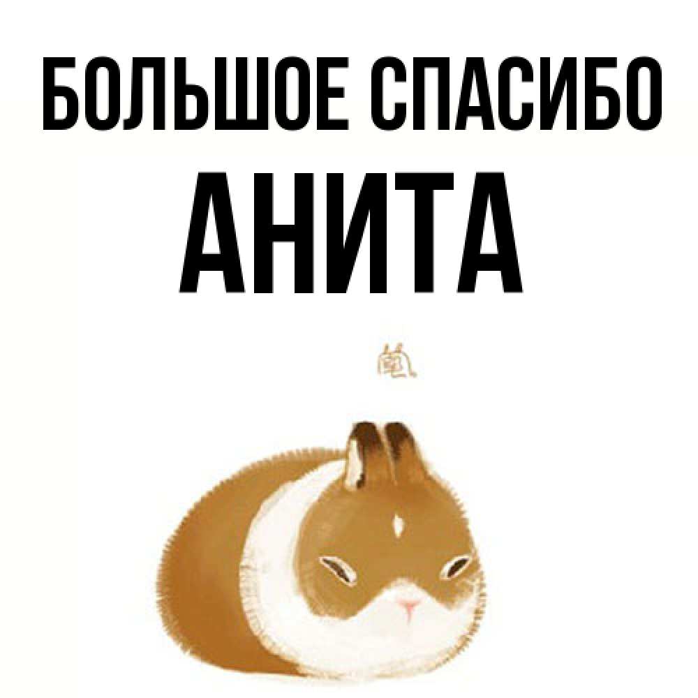 Открытка на каждый день с именем, Анита Большое спасибо коричнево белый домашний питомец Прикольная открытка с пожеланием онлайн скачать бесплатно 