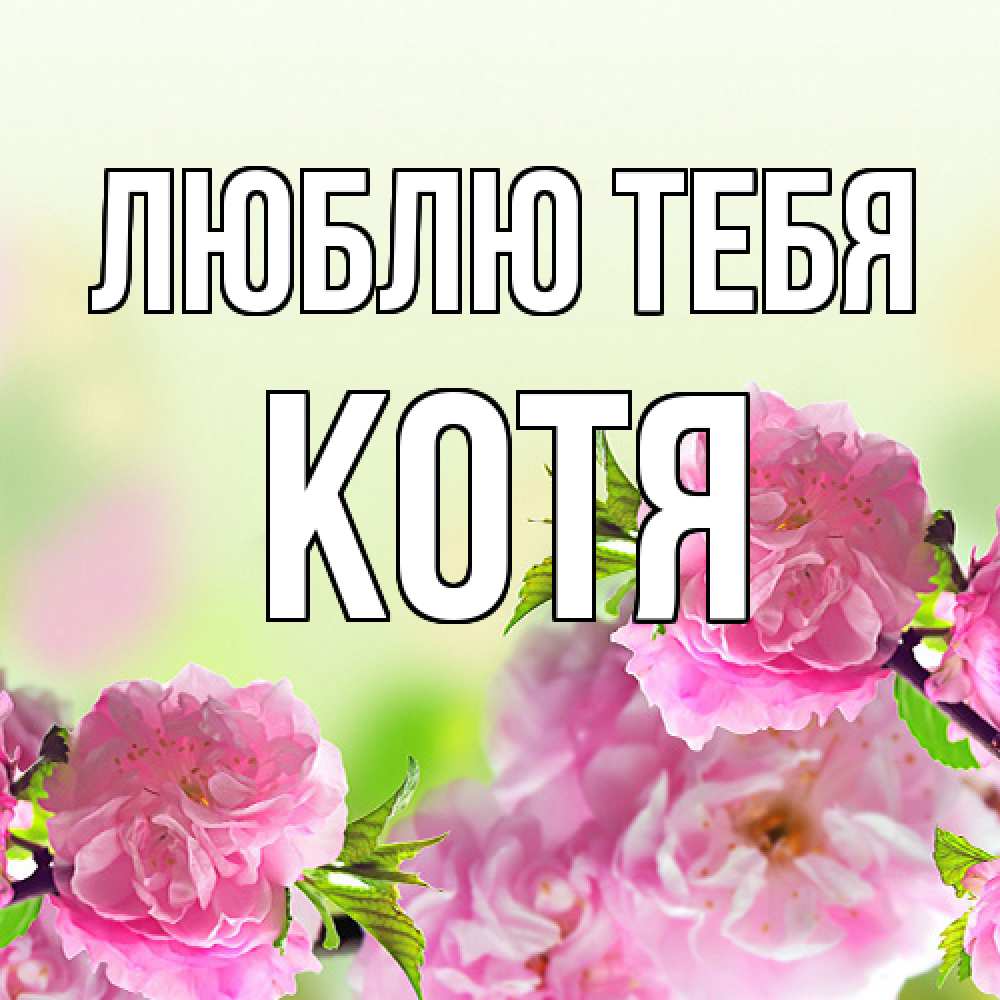 Открытка на каждый день с именем, Котя Люблю тебя цветы Прикольная открытка с пожеланием онлайн скачать бесплатно 