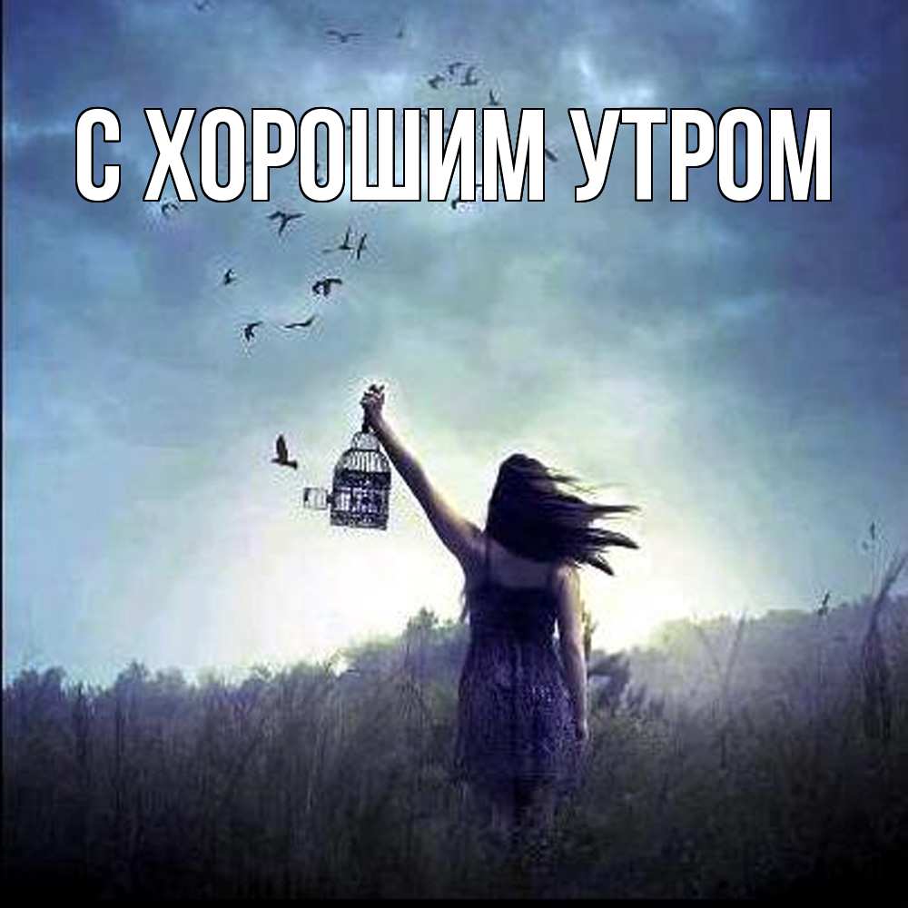 Открытка на каждый день с именем, Дамира Скучашки приходи ко мне Прикольная открытка с пожеланием онлайн скачать бесплатно 