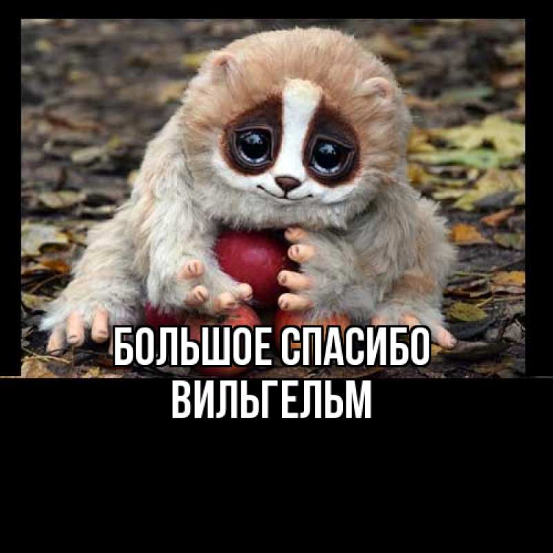 Картинка Большое спасибо, Вильгельм