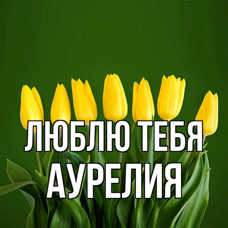 Картинка Люблю тебя, Аурелия