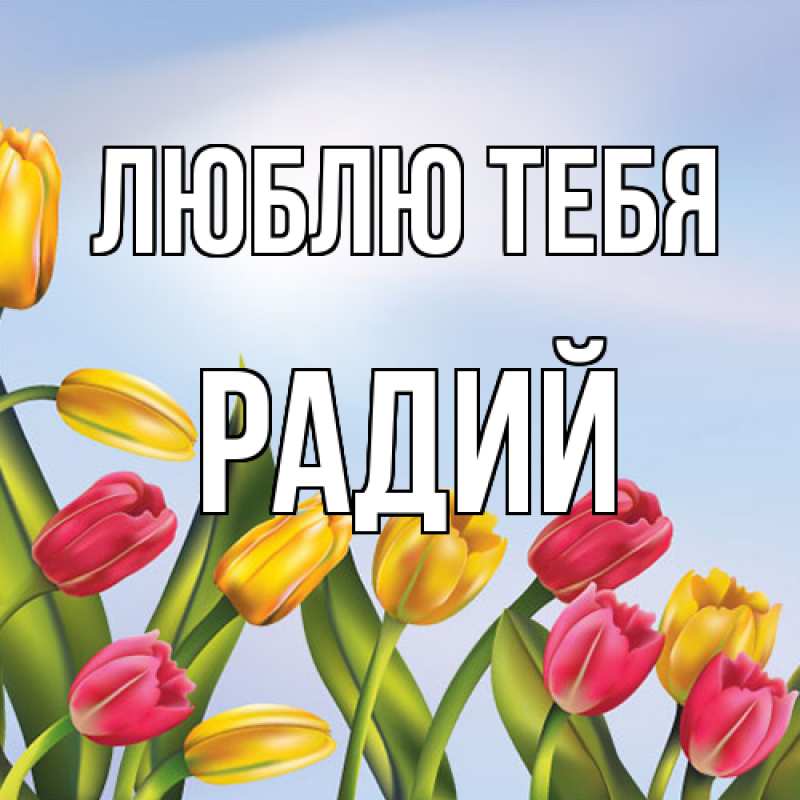 Картинка Люблю тебя, Радий