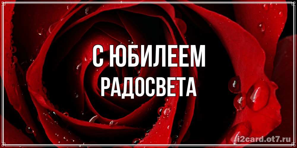 Открытка на каждый день с именем, Радосвета C юбилеем крупная бордовая роза Прикольная открытка с пожеланием онлайн скачать бесплатно 