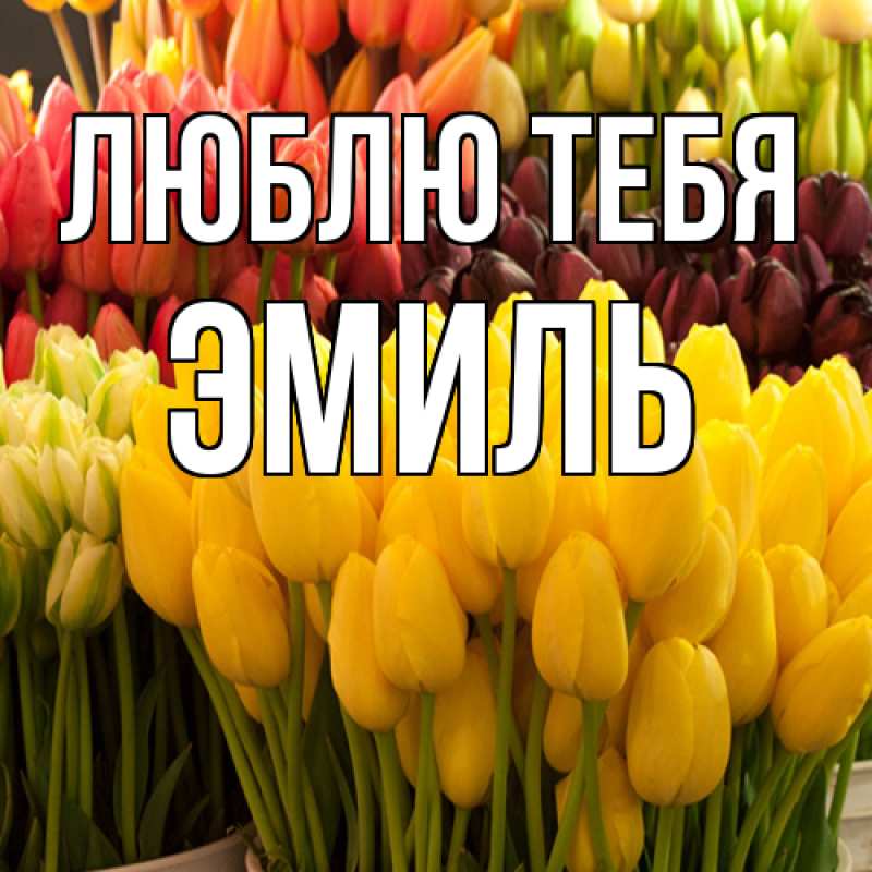 Картинка Люблю тебя, Эмиль