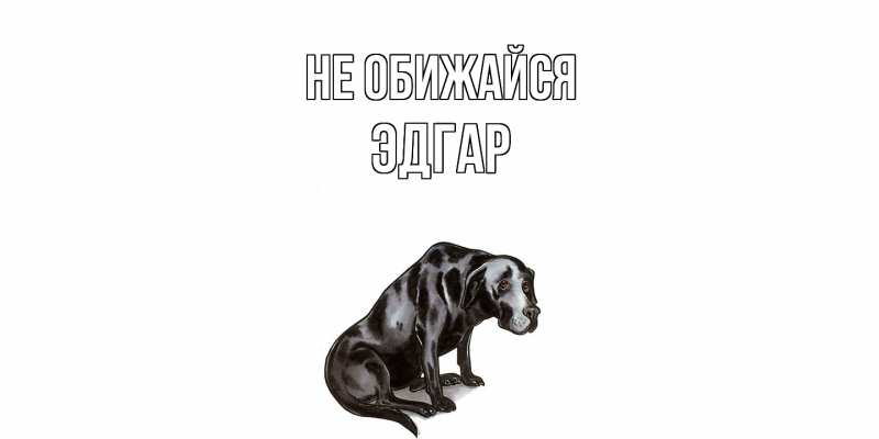 Картинка Не обижайся, Эдгар