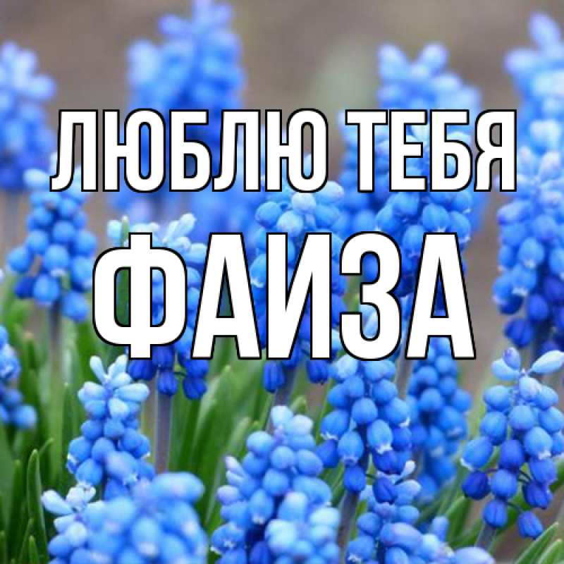 Открытка с именем, Фаиза, Люблю тебя