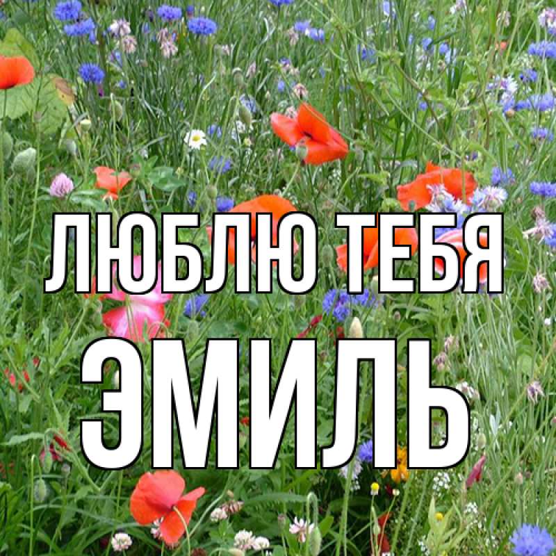 Картинка Люблю тебя, Эмиль