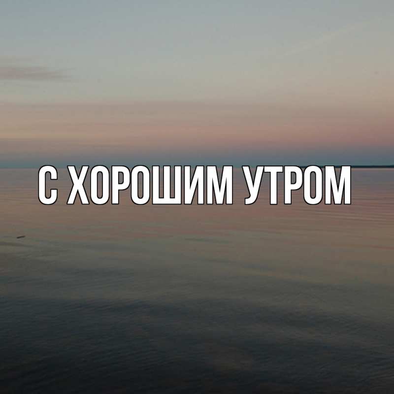 Картинка Скучашки, Муслим