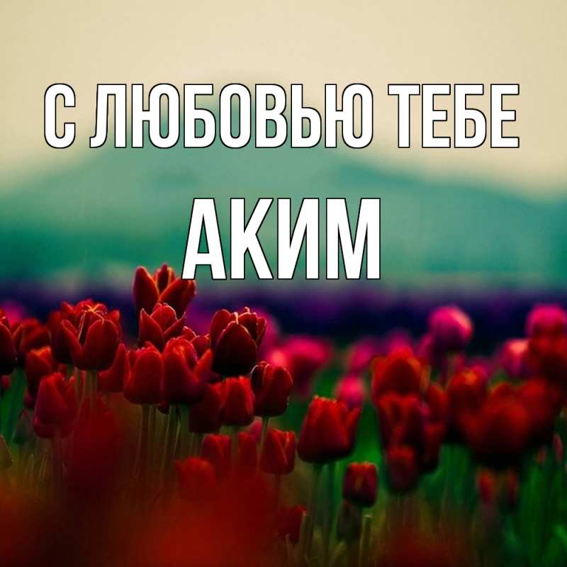 Картинка С любовью тебе, Аким