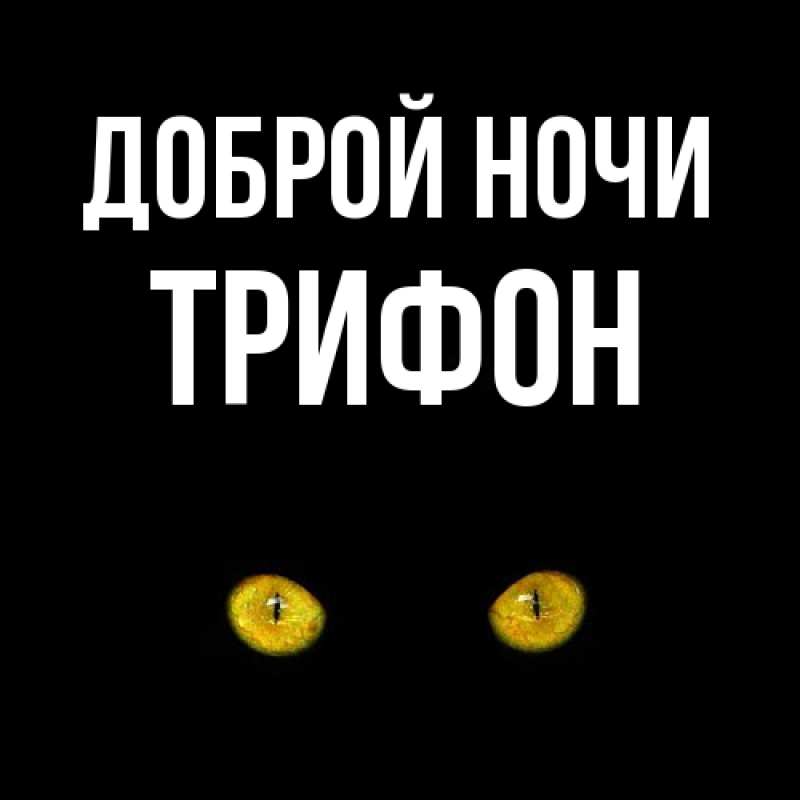 Картинка Доброй ночи, Трифон