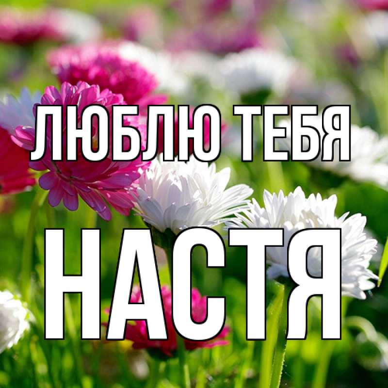 Картинка Люблю тебя, Настя