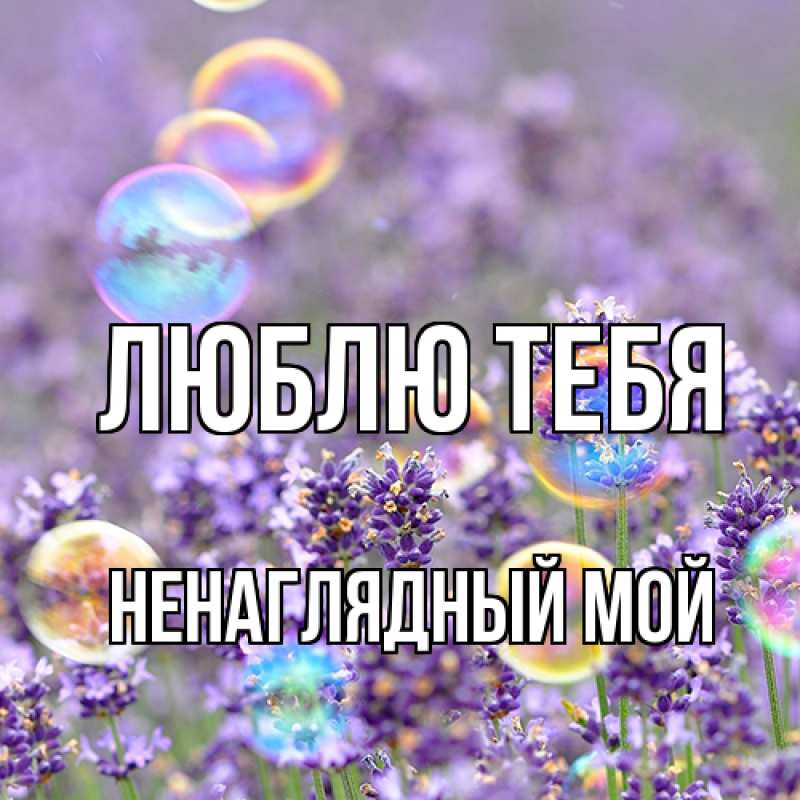 Картинка Люблю тебя, Ненаглядный мой