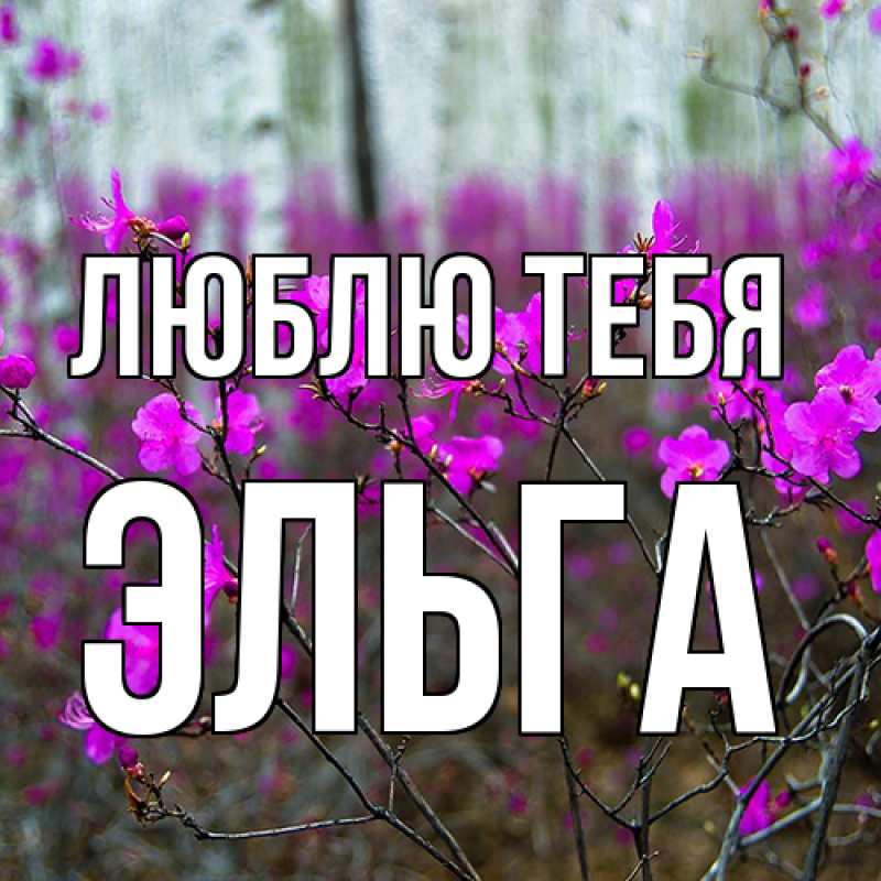 Картинка Люблю тебя, Эльга