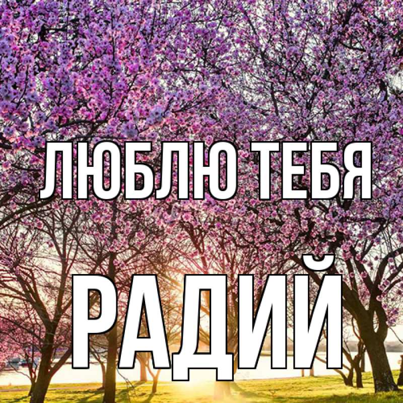 Картинка Люблю тебя, Радий