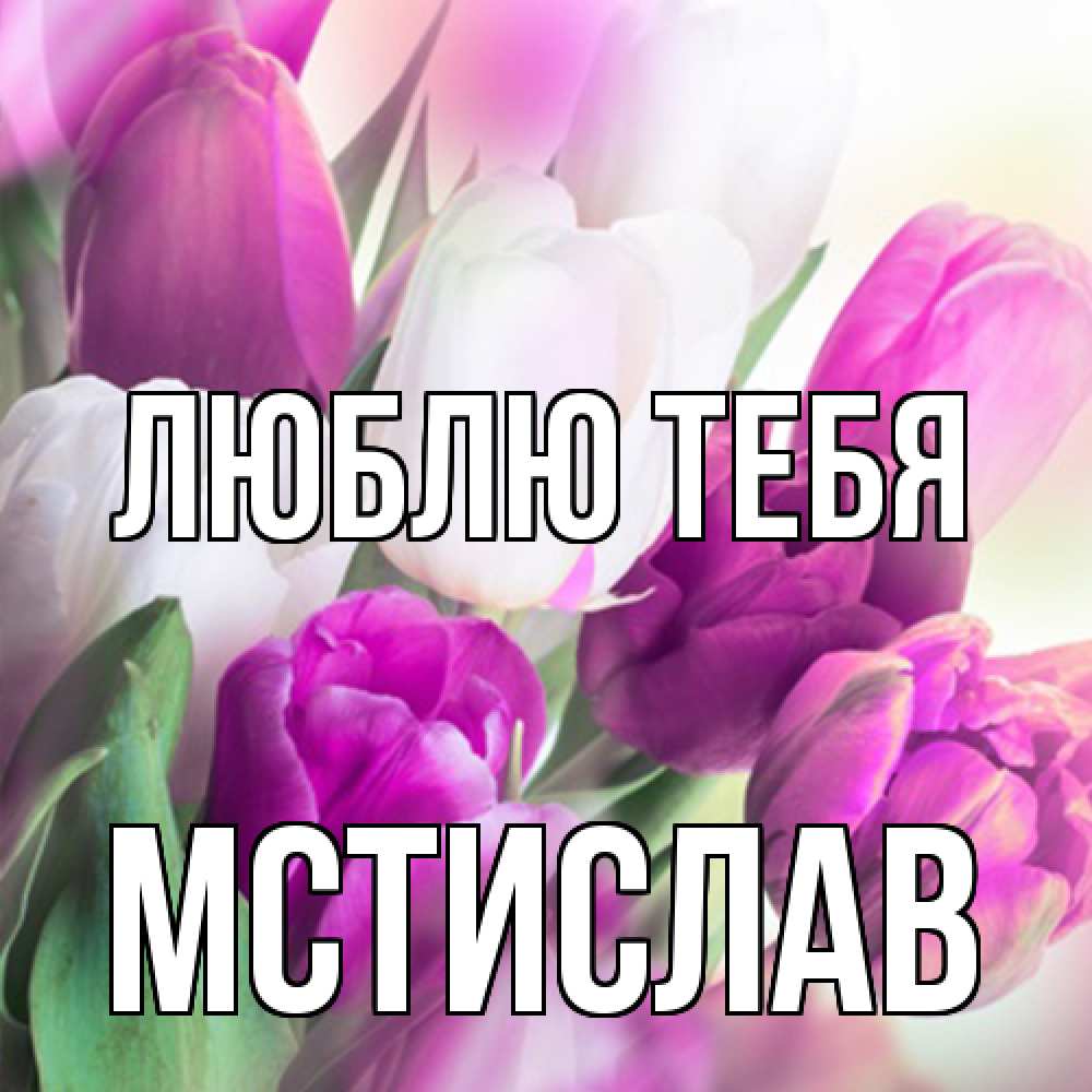 Открытка на каждый день с именем, Мстислав Люблю тебя весна 1 Прикольная открытка с пожеланием онлайн скачать бесплатно 