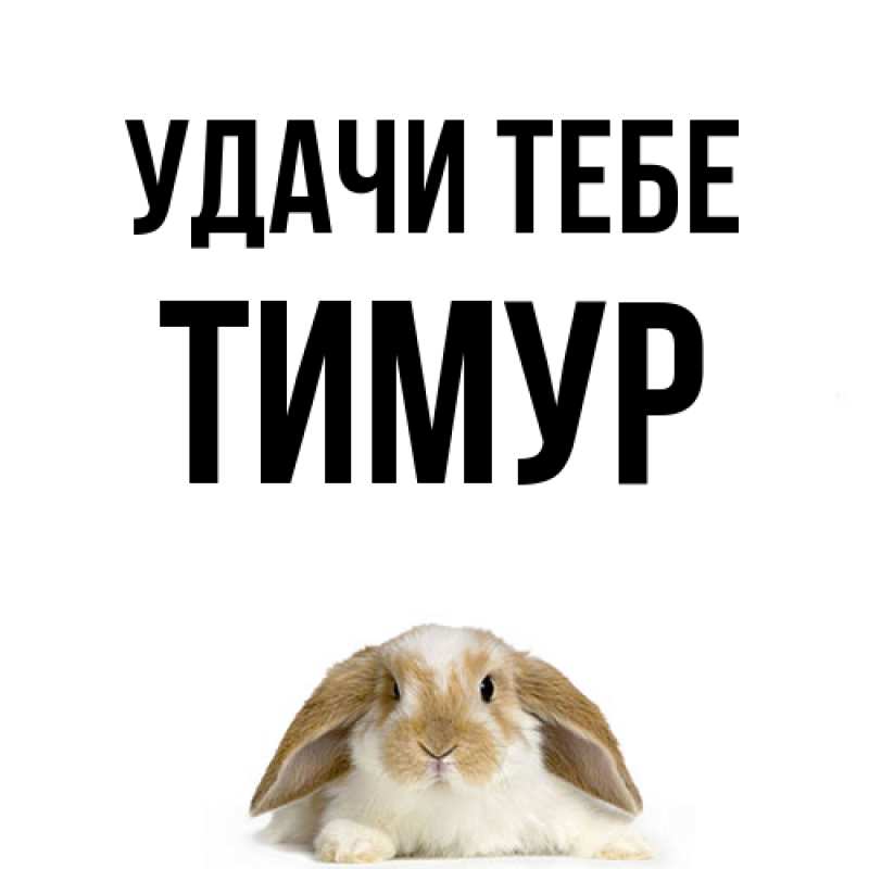 Открытка с именем, Тимур, Удачи тебе