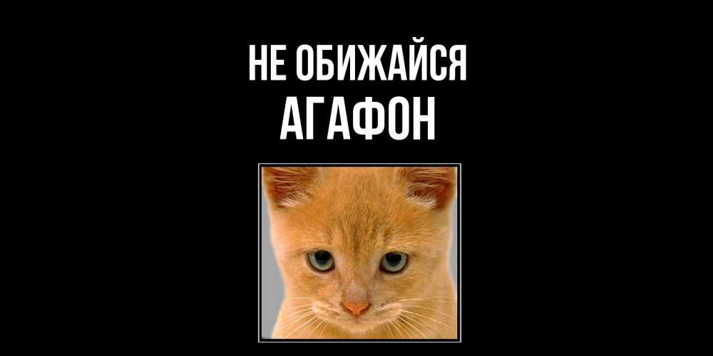 Открытка на каждый день с именем, Агафон Не обижайся рыжий грустный кот просит прощения Прикольная открытка с пожеланием онлайн скачать бесплатно 