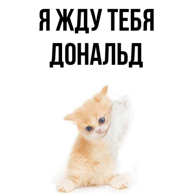 Открытка с именем, Дональд, Я жду тебя