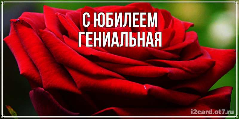 Картинка C юбилеем, Гениальная