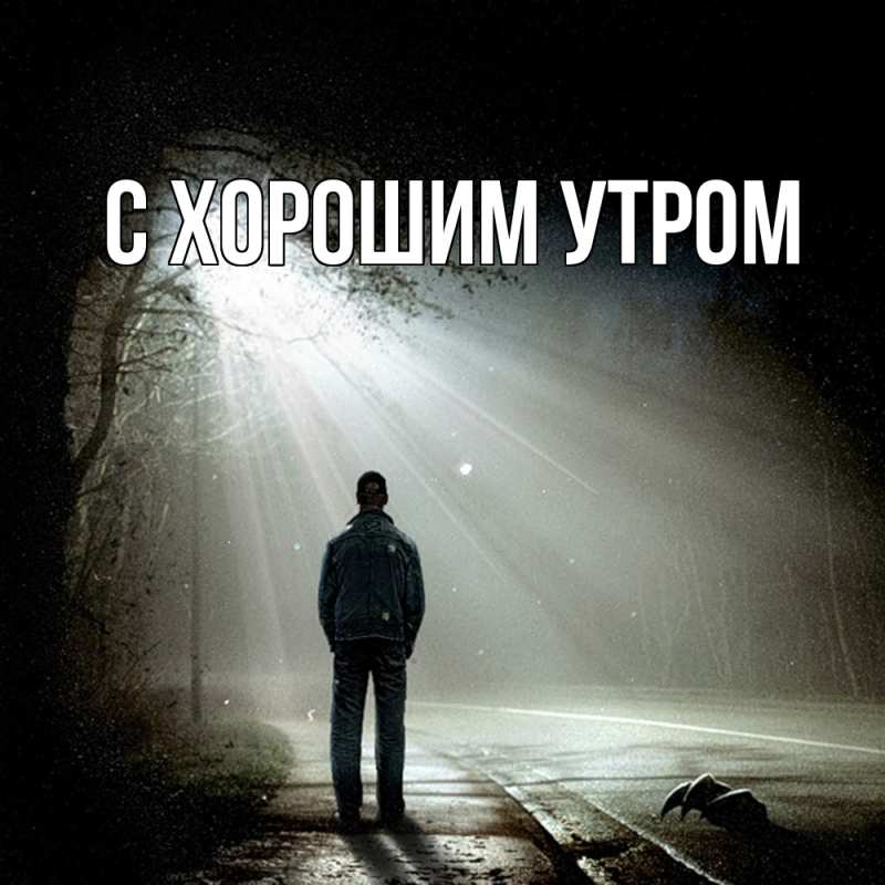 Картинка Скучашки, Дамира