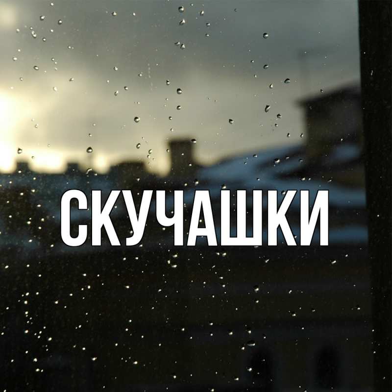 Картинка Скучашки, 