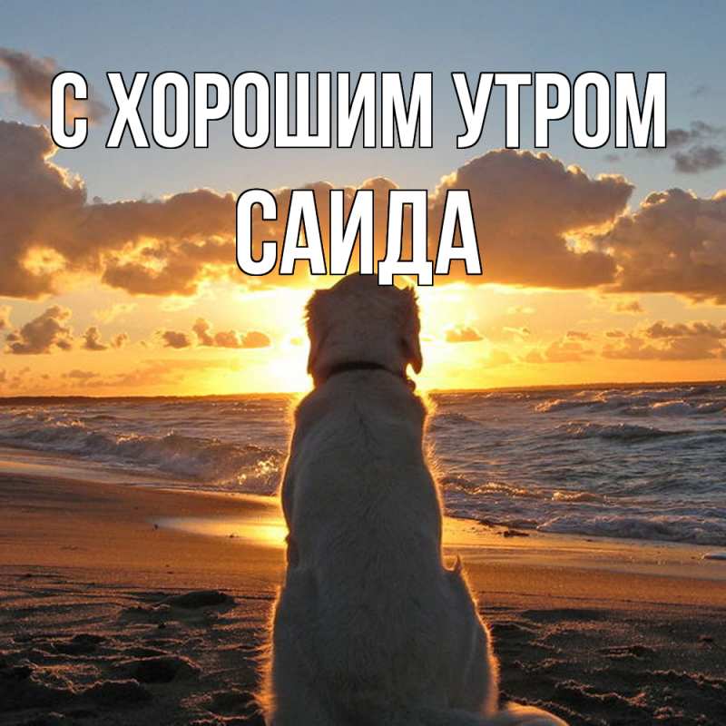 Картинка С хорошим утром, Саида