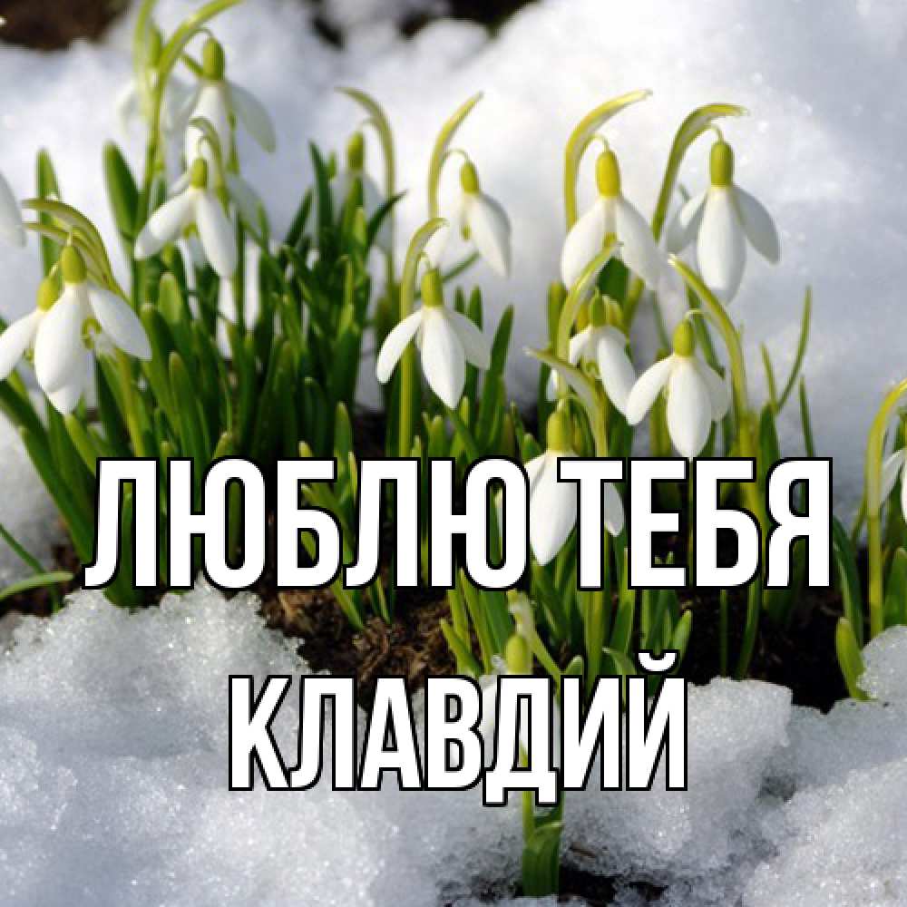 Открытка на каждый день с именем, Клавдий Люблю тебя цветы весенние Прикольная открытка с пожеланием онлайн скачать бесплатно 