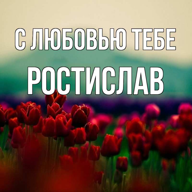 Картинка С любовью тебе, Ростислав