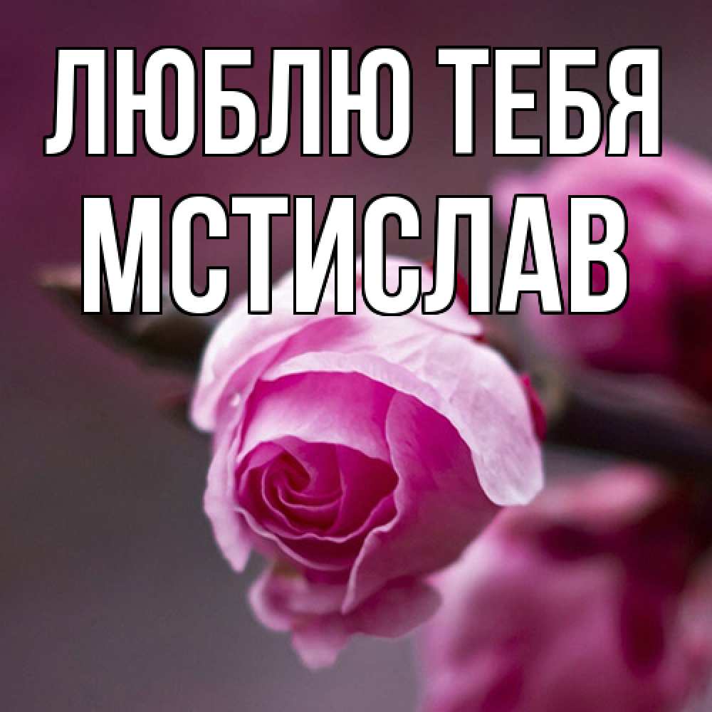 Открытка на каждый день с именем, Мстислав Люблю тебя весна Прикольная открытка с пожеланием онлайн скачать бесплатно 