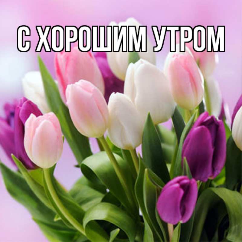 Картинка Люблю тебя, Гуля