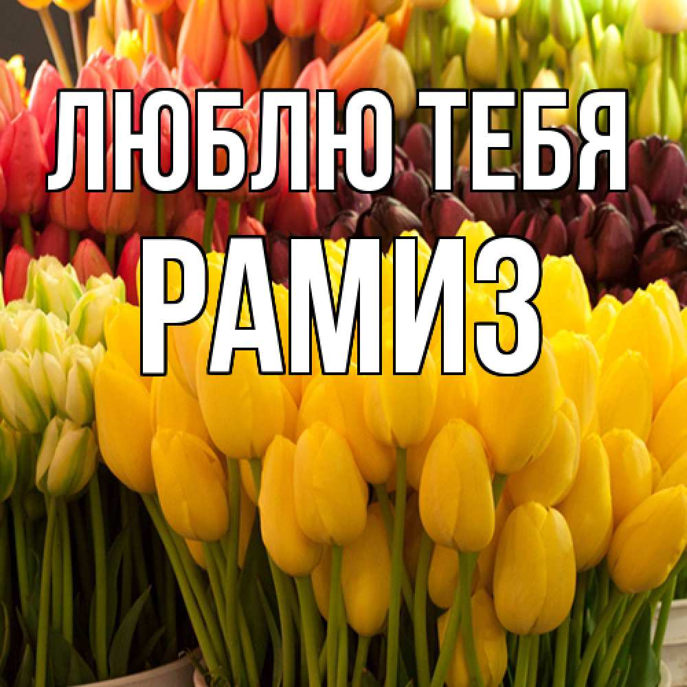 Открытка на каждый день с именем, Рамиз Люблю тебя цветы Прикольная открытка с пожеланием онлайн скачать бесплатно 