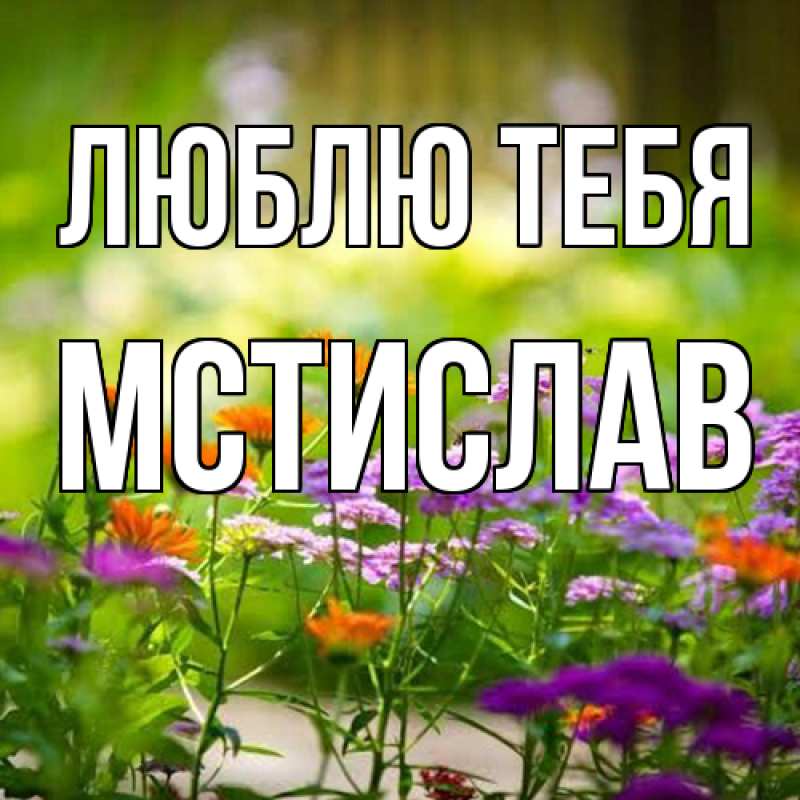 Картинка Люблю тебя, Мстислав