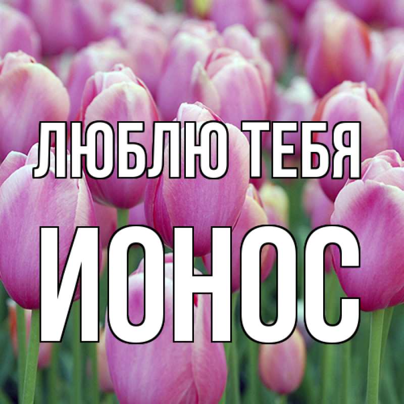 Картинка Люблю тебя, Ионос