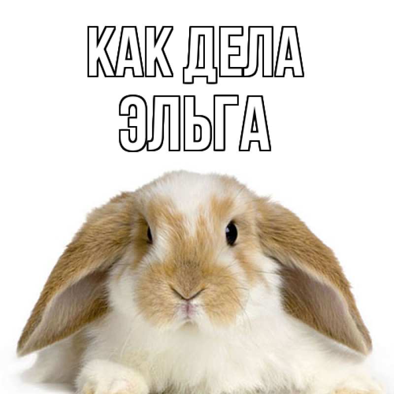 Картинка Как дела, Эльга