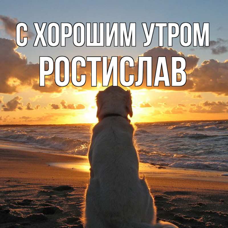 Картинка С хорошим утром, Ростислав