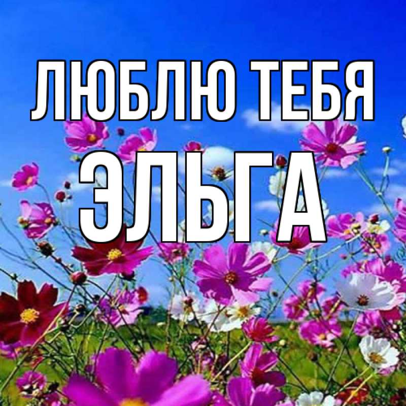 Картинка Люблю тебя, Эльга