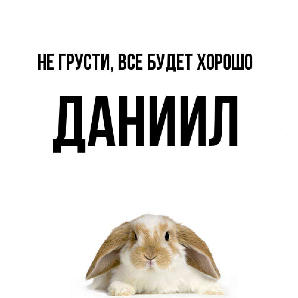 Открытка на каждый день с именем, Даниил Не грусти все будет хорошо коричнево белый заяц с большими ушками Прикольная открытка с пожеланием онлайн скачать бесплатно 