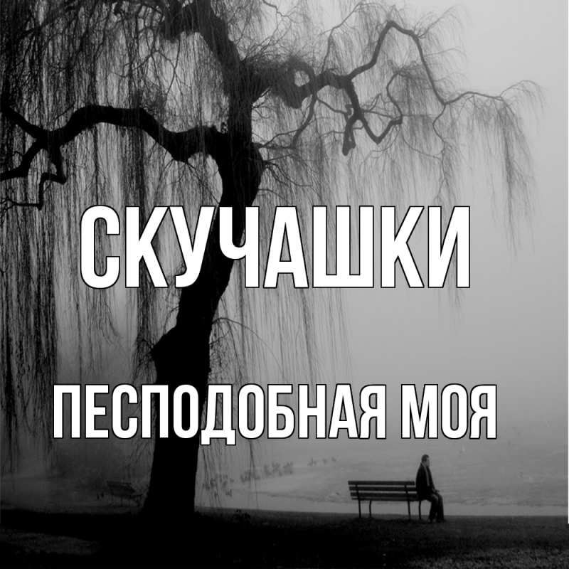 Открытка с именем, Песподобная моя, Скучашки